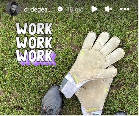 nong-david-de-gea-chinh-thuc-tro-lai-chuan-bi-doi-dau-man-united